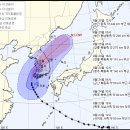 태풍 - 강북구 솔매로 87 | 태풍