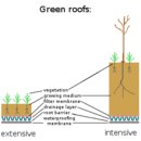 Green roof 이미지