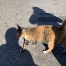 동문1동사무소 이미지