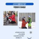 화이트스쿨 이미지