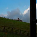 삼양목장 이미지