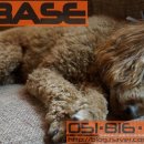 수연헤어칼라 이미지