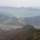 환주농장 Daum카페