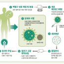 (주)에스엠티코리아 | 220305_부작용 적고 가격 저렴…NK세포 치료제, 항암제 시장 판 뒤집나