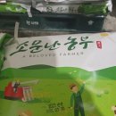 계룡마트 티스토리