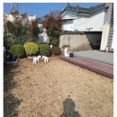 둥지 펜션 | 고요함과 낭만 가득한 자연 속 경주펜션 둥지가족펜션 방문 후기