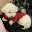 투흐티