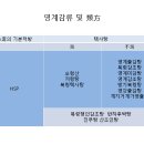 아이앤맘한의원 티스토리
