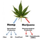 (주)대마 이미지