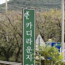 카디라운지 이미지