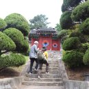 김정선생묘소일원 이미지