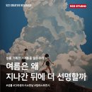 스튜디오시소 | 서울 전시 추천｜성률 기획전 여름을 닮은 우리 그라운드시소 한남 522studio(522스튜디오)의 후기