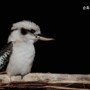 순효노인요양원 이미지