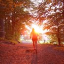 9988피트니스 이미지