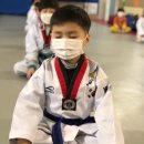 베스트태권도 이미지