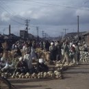 배다리한증막 이미지