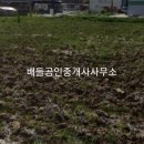 용안면 행정복지센터 이미지