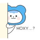 돈룩업의정부