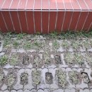 서문시장 #2-3 이미지