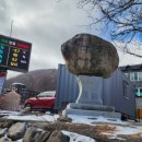 태백산약초식당 이미지