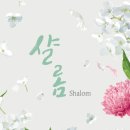 샬롬(Shalom) 이미지