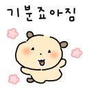 김올가 이미지