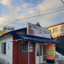 제주야 표선 이미지