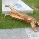 광주시청 이미지