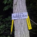 바람소리새소리 이미지