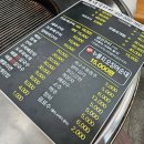 모녀가리비 이미지