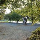 강변오토캠핑장1 이미지