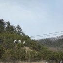 새여인숙 | 강화터미널 인근 10첩 백반 맛집 수도식당/전등사