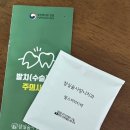 잠실숲사랑니구강악안면외과치과의원 이미지