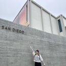 LA 근교 여행지 추천 TOP 5 | 바다부터 사막 국립공원까지 완벽 가이드