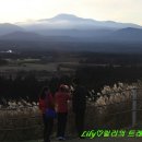 평지 이미지