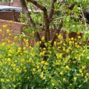 아리울천국 이미지