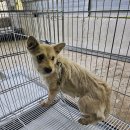 교룡주유소 이미지