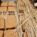 교동두부 이미지