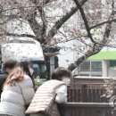 동해곤충농장 이미지