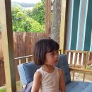 행복한농장 이미지