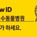 이진수동물병원 네이버블로그