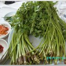 밤나무식당 이미지