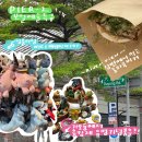 문구쟁이 | [목욕행] 10. 문구쟁이는 보얼이 참 좋아 | 보얼예술...아이패스, iPass) 사용 후기 | 가오슝 트램 타는 법