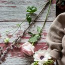 오늘은 머리하는날 이미지