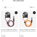 러브펫츠 이미지