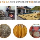 용꿈황골엿