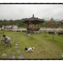 거창스포츠파크 이미지