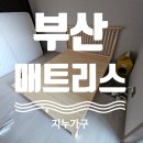 지누디자인 이미지