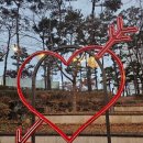 백조미디어 | 석촌호수 루미나리에 겨울빛 축제 산책 후기