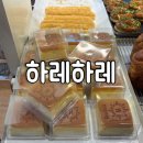 도안대로 | [대전] 하레하레 도안점 주말 방문 후기